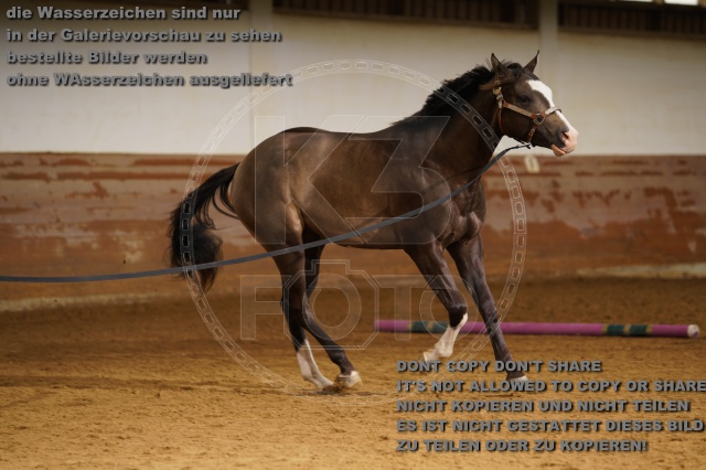 s_K3F01788.JPG